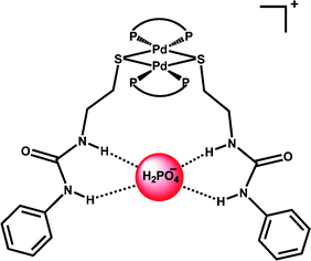 Graphical abstract: A di-palladium urea complex as a molecular receptor for anions