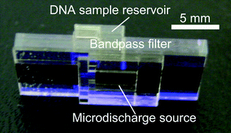 Graphical abstract: Microfluidic discharge-based optical sources for detection of biochemicals