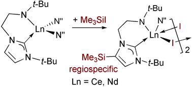 Graphical abstract: Regioselective C–H activation of lanthanide-bound N-heterocyclic carbenes