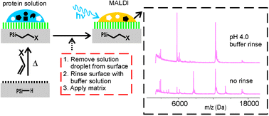 Graphical abstract: Functionalized porous silicon surfaces as MALDI-MS substrates for protein identification studies