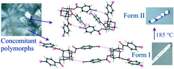 Graphical abstract: Concomitant dimorphs of tri-O-[p-halobenzoyl]-myo-inositol 1,3,5-orthoformates with different halogen bonding contacts: first order crystal-to-crystal thermal phase transition of kinetic form to the thermodynamic form