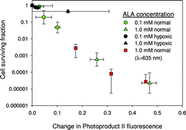 Graphical abstract: Photobleaching kinetics, photoproduct formation, and dose estimation during ALA induced PpIX PDT of MLL cells under well oxygenated and hypoxic conditions
