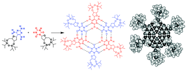 Graphical abstract: Hydrogen-bond self-assembly of DNA-analogues into hexameric rosettes