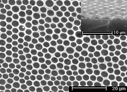 Graphical abstract: Water-assisted fabrication of honeycomb structure porous film from poly(l-lactide)