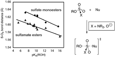Graphical abstract: Ground state structures of sulfate monoesters and sulfamates reveal similar reaction coordinates for sulfuryl and sulfamyl transfer