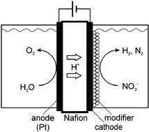 Graphical abstract: Electrocatalytic nitrate hydrogenation over an H+-conducting solid polymer electrolyte membrane–modified cathode assembly