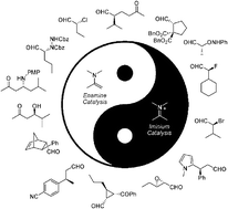 Graphical abstract: The ying and yang of asymmetric aminocatalysis