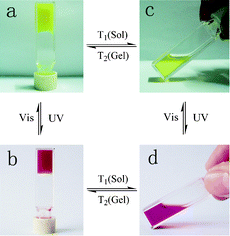 Graphical abstract: A multiple switching bisthienylethene and its photochromic fluorescent organogelator