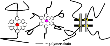Graphical abstract: The use of (metallo-)supramolecular initiators for living/controlled polymerization techniques