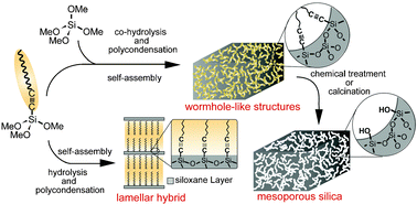 Graphical abstract: Surfactant-free synthesis of lamellar and wormhole-like silica mesostructures by using 1-alkynyltrimethoxysilanes
