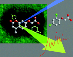 Graphical abstract: A fluorescence polarisation molecular imprint sorbent assay for 2,4-D: a non-separation pseudo-immunoassay