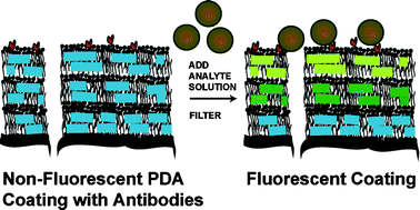 Graphical abstract: Antibody-functionalized polydiacetylene coatings on nanoporous membranes for microorganism detection