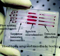 Graphical abstract: Disposable integrated microfluidic biochip for blood typing by plastic microinjection moulding