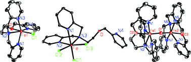 Graphical abstract: Mono- and binuclear complexes of iron(ii) and iron(iii) with an N4O ligand: synthesis, structures and catalytic properties in alkane oxidation