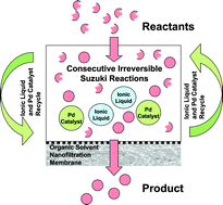 Graphical abstract: Recovery and reuse of ionic liquids and palladium catalyst for Suzuki reactions using organic solvent nanofiltration