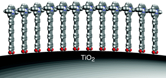 Graphical abstract: Evidence for the assembly of carboxyphenylethynyl zinc porphyrins on nanocrystalline TiO2 surfaces
