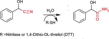 Graphical abstract: Enzyme stabilizer DTT catalyzes nitrilase analogue hydrolysis of nitriles