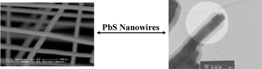 Graphical abstract: Silica coated PbS nanowires