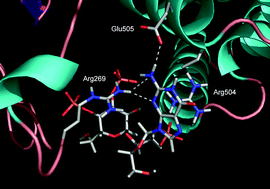 Graphical abstract: Guanophostin A: Synthesis and evaluation of a high affinity agonist of the d-myo-inositol 1,4,5-trisphosphate receptor