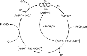 Graphical abstract: Solvent-free selective photocatalytic oxidation of benzyl alcohol to benzaldehyde by molecular oxygen using 9-phenyl-10-methylacridinium