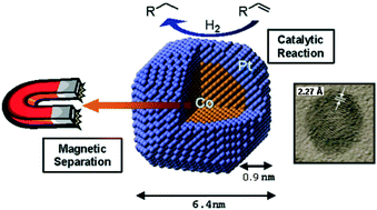 Graphical abstract: Demonstration of a magnetic and catalytic Co@Pt nanoparticle as a dual-function nanoplatform