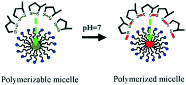 Graphical abstract: Polymerized surface micelles formed under mild conditions