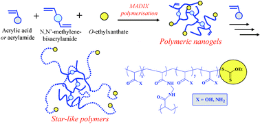 Graphical abstract: Water soluble polymeric nanogels by xanthate-mediated radical crosslinking copolymerisation