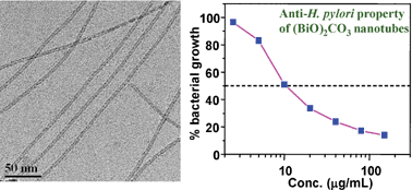 Graphical abstract: Fabrication of bismuth subcarbonate nanotube arrays from bismuth citrate