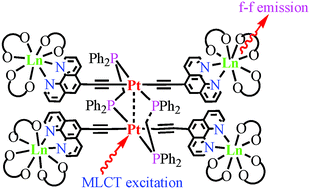 Graphical abstract: Diplatinum alkynyl chromophores as sensitisers for lanthanide luminescence in Pt2Ln2 and Pt2Ln4 (Ln = Eu, Nd, Yb) arrays with acetylide-functionalized bipyridine/phenanthroline