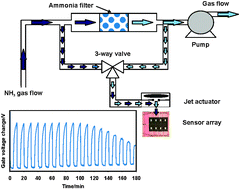 Graphical abstract: Enhanced performance of a filter–sensor system