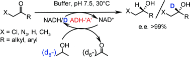 Graphical abstract: Biocatalytic deuterium- and hydrogen-transfer using over-expressed ADH-‘A’: enhanced stereoselectivity and 2H-labeled chiral alcohols