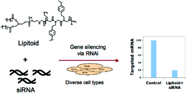 Graphical abstract: A peptidomimetic siRNA transfection reagent for highly effective gene silencing
