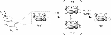 Graphical abstract: On the unusual fluorescence properties of xanthone in water