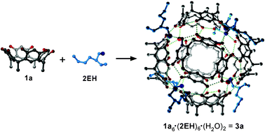 Graphical abstract: An achiral form of the hexameric resorcin[4]arene capsule sustained by hydrogen bonding with alcohols