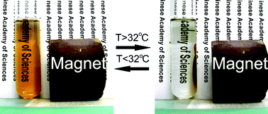Graphical abstract: Magnetic separation of polymer hybrid iron oxide nanoparticles triggered by temperature