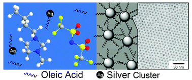 Graphical abstract: Oleic acid as the capping agent in the synthesis of noble metal nanoparticles in imidazolium-based ionic liquids