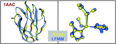 Graphical abstract: A test of ligand field molecular mechanics as an efficient alternative to QM/MM for modelling metalloproteins: the structures of oxidised type I copper centres