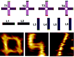 Graphical abstract: Combinatorial self-assembly of DNA nanostructures