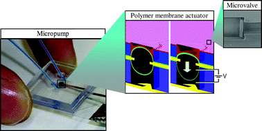 Graphical abstract: Concepts for a new class of all-polymer micropumps