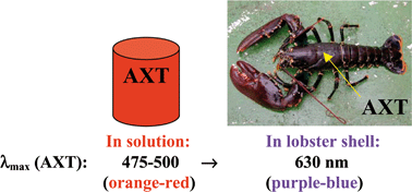 Graphical abstract: Protein-bound chromophores astaxanthin and phytochromobilin: excited state quantum chemical studies