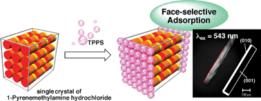 Graphical abstract: Face-selective decoration of an organic single crystal toward photochemical devices