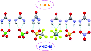 Graphical abstract: Exploring conformationally flexible hydrogen-bond-functionalized ligand and counter anions in metal–organic frameworks of Cu(ii)