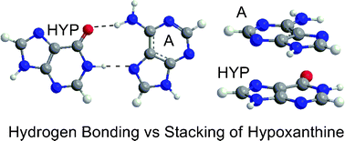 Graphical abstract: A computational characterization of the hydrogen-bonding and stacking interactions of hypoxanthine