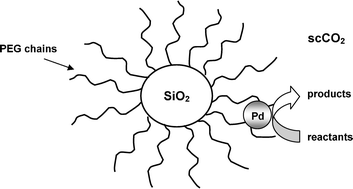 Graphical abstract: Palladium nanoparticles stabilised on PEG-modified silica as catalysts for the aerobic alcohol oxidation in supercritical carbon dioxide