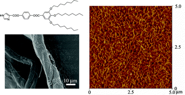 Graphical abstract: Lyotropic columnar liquid crystals based on polycatenar 1H-imidazole amphiphiles and their assembly into bundles at the surface of silicon