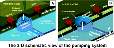 Graphical abstract: Photopolymerized check valve and its integration into a pneumatic pumping system for biocompatible sample delivery