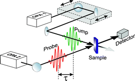 Graphical abstract: Time-resolved methods in biophysics. 4. Broadband pump–probe spectroscopy system with sub-20 fs temporal resolution for the study of energy transfer processes in photosynthesis