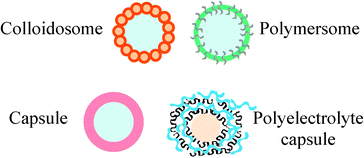 Graphical abstract: Formation of liquid core–polymer shell microcapsules