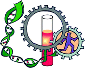 Graphical abstract: DNA-based machines