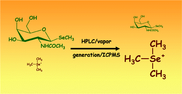 Graphical abstract: HPLC/vapor generation/ICPMS of selenium metabolites relevant to human urine—selective determination of trimethylselenonium ion